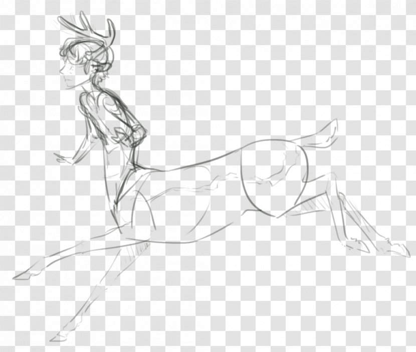 Drawing Work Of Art Artist - Cartoon - Centaur Transparent PNG