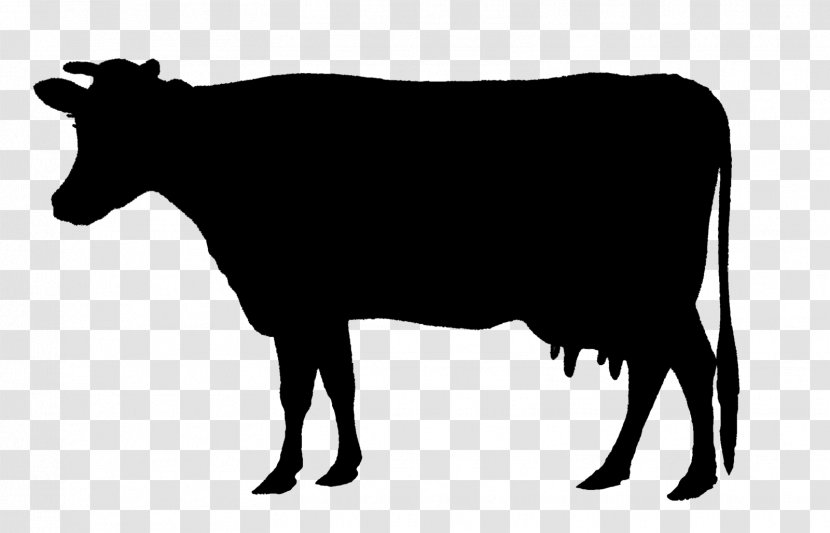 Holstein Friesian Cattle Animal Silhouettes Calf Beef Clip Art Transparent PNG