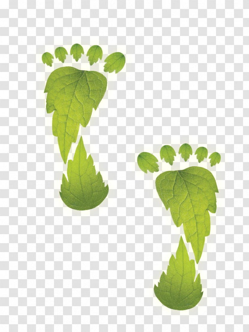 Environmentally Friendly Ecological Footprint Energy Conservation Carbon - Sustainable Design - Neem Tree Transparent PNG