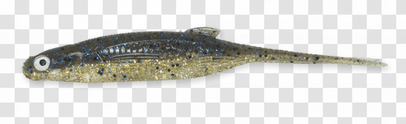 Perch Bait Oily Fish - Bream Transparent PNG