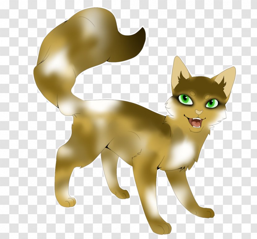 Whiskers Kitten Red Fox Cat Fauna Transparent PNG