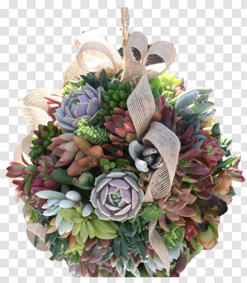 Floral Design Garden Flower Lawn Wreath - Bouquet - Aloe Striata Transparent PNG