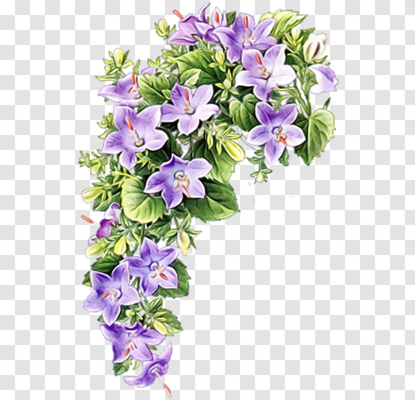 Greeting Clip Art - Windows Thumbnail Cache - Flower Transparent PNG