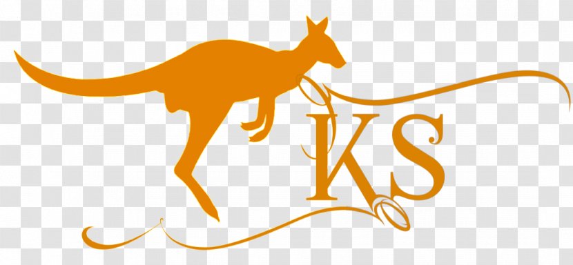 Kangaroo Silhouette Macropodidae - Organism Transparent PNG