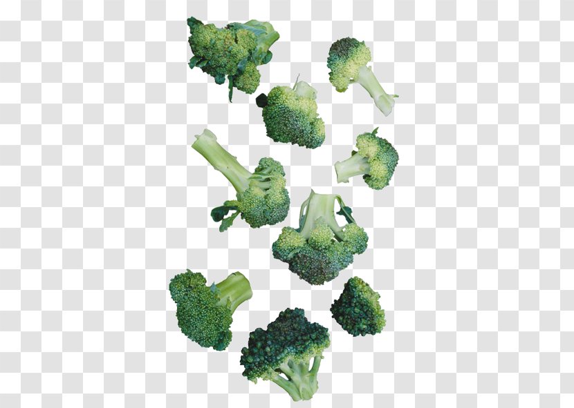 Cauliflower Broccoli Vegetable - Leaf Transparent PNG