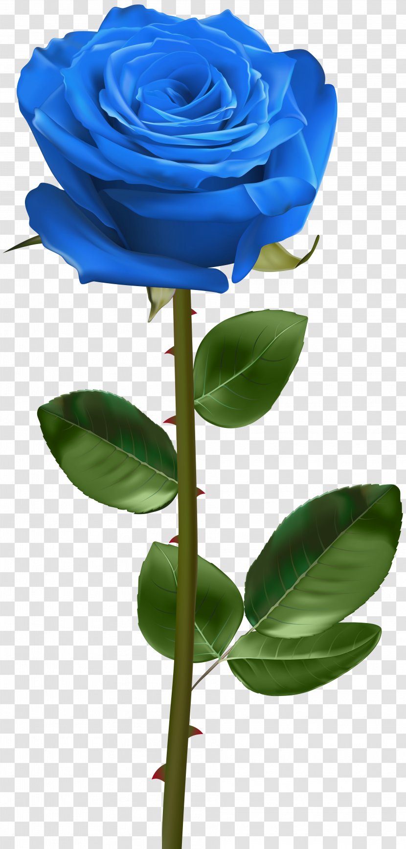 Blue Rose - Flowerpot Transparent PNG