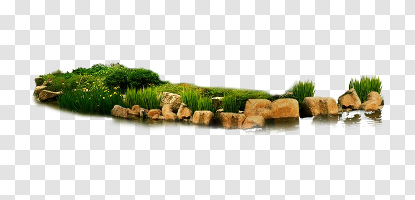 Designer - Landscaping - Stone Flowers Transparent PNG