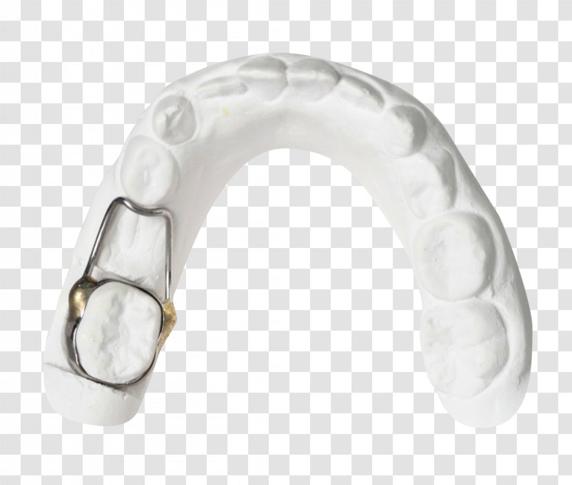 Tooth Whitening Mouth Dentistry Horse - Computer Hardware Transparent PNG