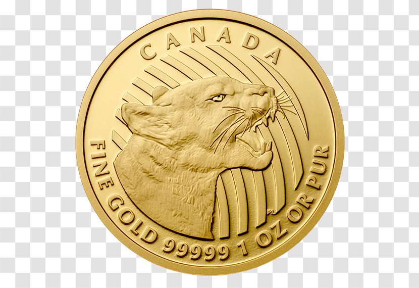Gold Coin Krugerrand Bullion - Medal - World Vision Canada Transparent PNG