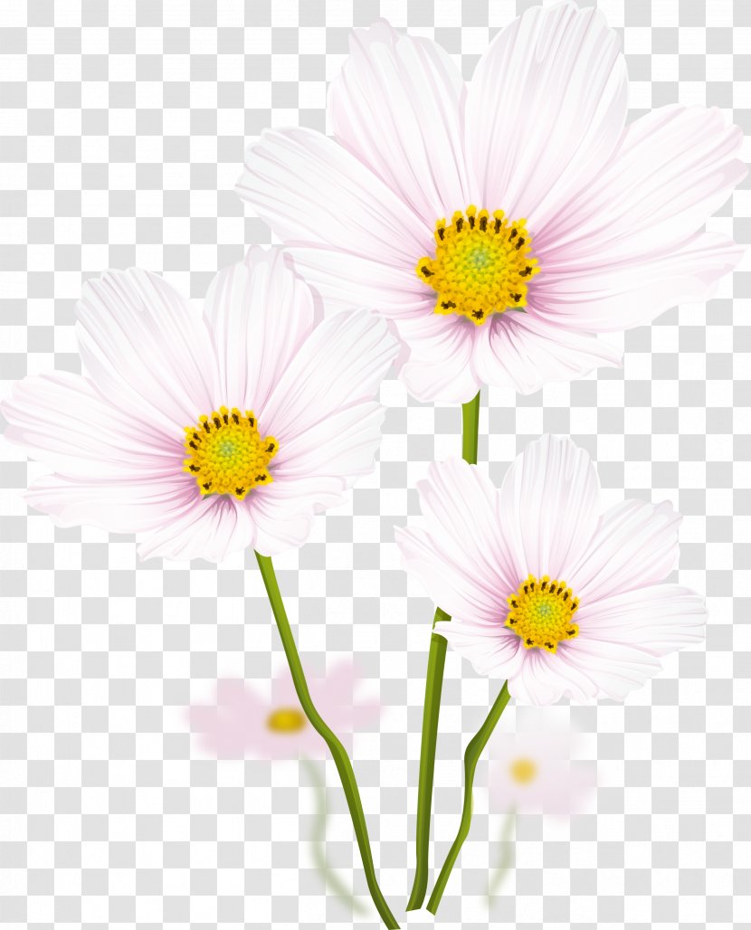 Flower Graphic Design Clip Art - Common Daisy Transparent PNG