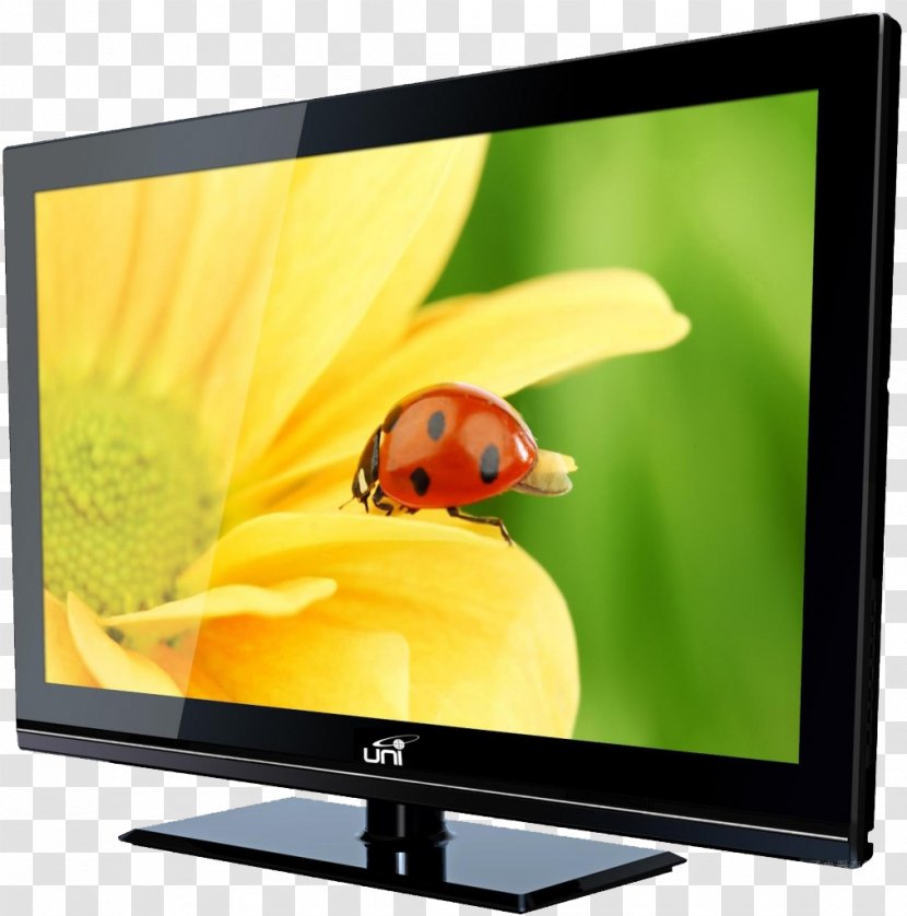 Laptop Macintosh 1080p High-definition Television Wallpaper - Display Device - LCD TV Products In Kind Transparent PNG