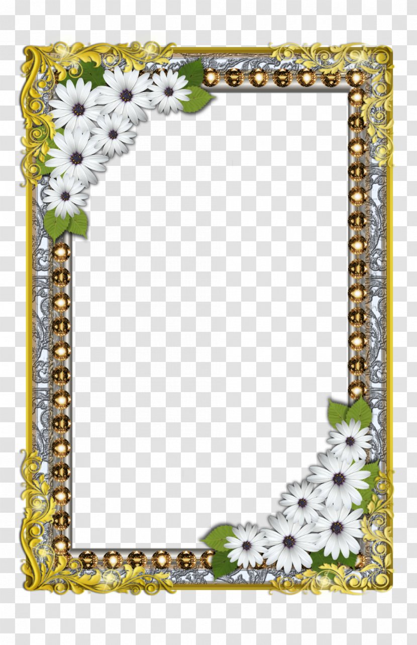 Picture Frames Flower Diamond Floral Design Clip Art - Flora - Border Transparent PNG