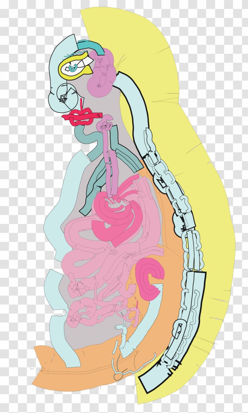 Mermaid Cartoon - Line Art Transparent PNG