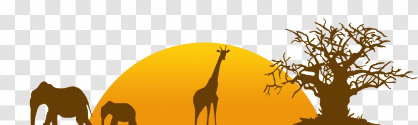 Giraffe Zoo Tycoon - Savanna Transparent PNG
