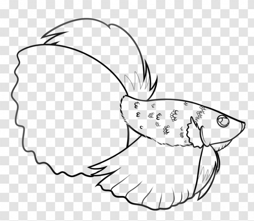 Siamese Fighting Fish Drawing Beak Art - Cartoon Transparent PNG