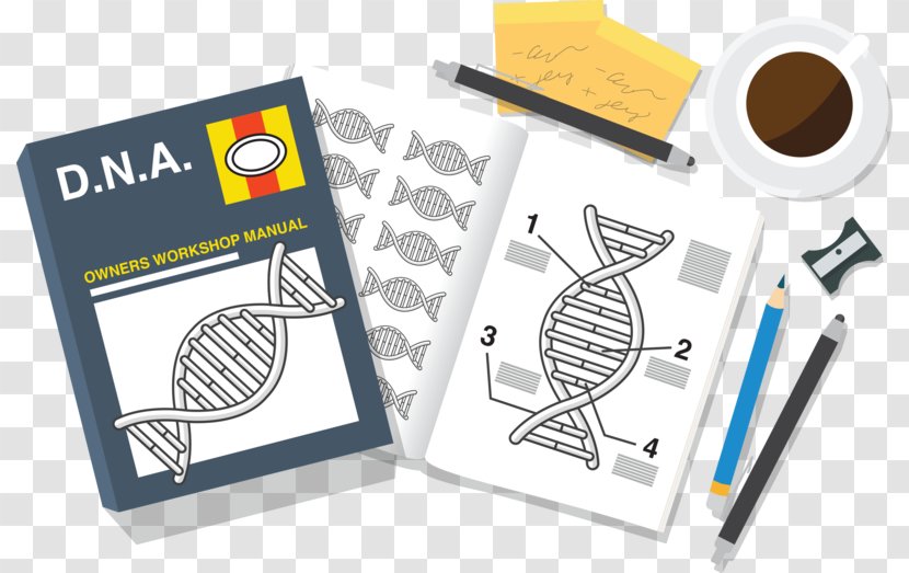 Year 13 Biology Science Biotechnology CRISPR - Pond - Beams Infographic Transparent PNG