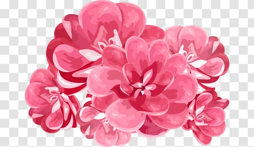 Flower Bouquet - Plant Stem Transparent PNG