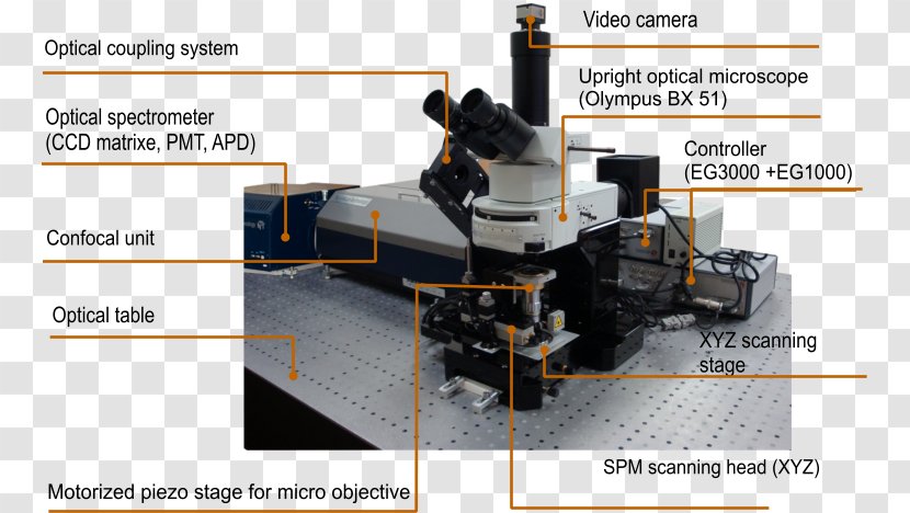 Scanning Probe Microscopy Scanning: The Journal Of Microscopies Electron Microscope - Science - Nanotube Transparent PNG