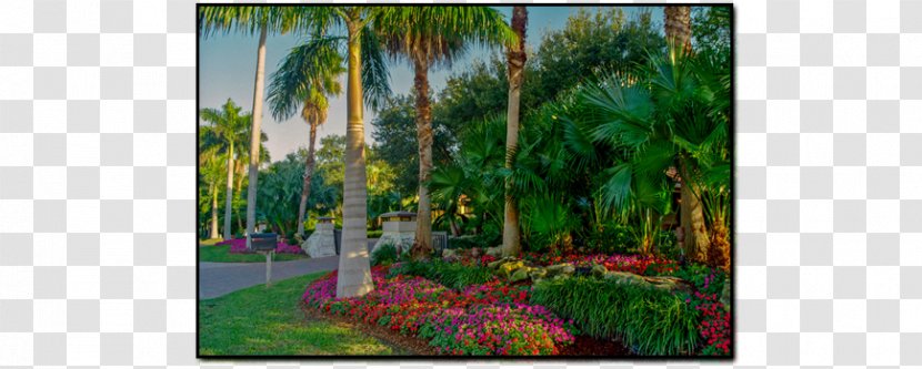 Majorelle Garden Blue Flora Forest Botanical - Grasses - Landscape Waterfall Transparent PNG