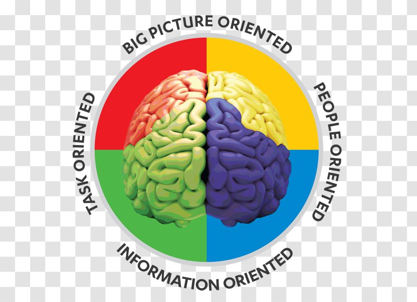 Personality Test Hartman Profile The Secret DISC Assessment - Watercolor - Brain Transparent PNG
