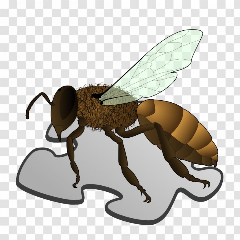 Queen Bee Anatomy Worker Sting - Honey - Stub Transparent PNG