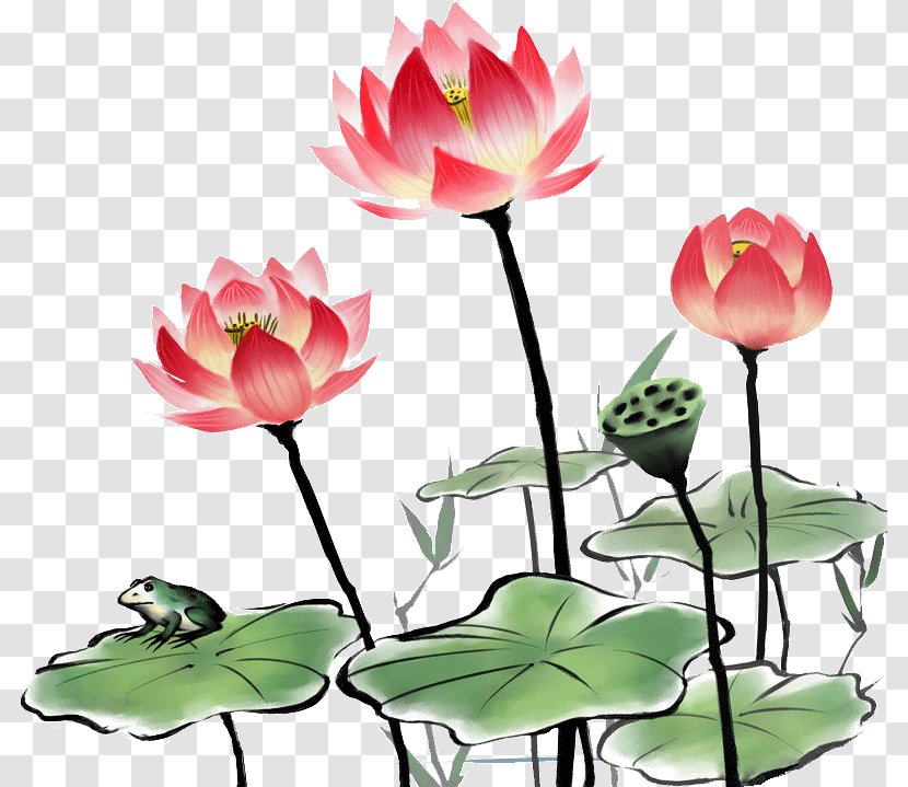 China Nelumbo Nucifera Ink Wash Painting Chinoiserie - Proteales - Lotus Transparent PNG