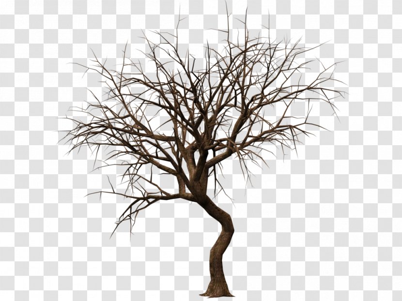 Drawing Tree Silhouette Clip Art - Love Transparent PNG