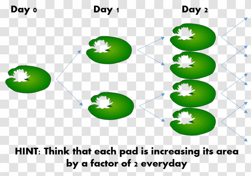 Mathematics Surface Area National Secondary School - Organism - Puzzle Letters Transparent PNG