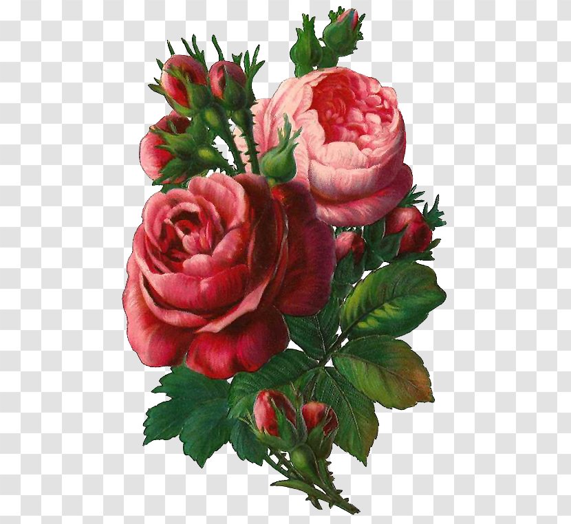 Bouquet Of Flowers Drawing - Painting - Hybrid Tea Rose Artificial Flower Transparent PNG