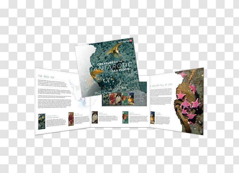 Presentation Pack Postage Stamps New Zealand Post Brochure Gift - Environmental Album Transparent PNG