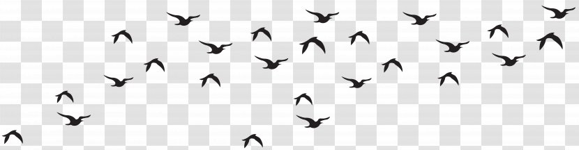 Bird Black And White Animal Migration Monochrome Photography - Flock Of Birds Transparent PNG