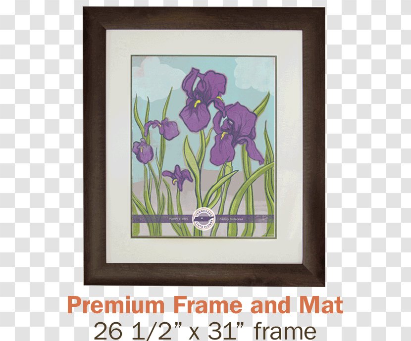 Picture Frames Painting Graphic Design Tulip - Pollinator - Juice Posters Transparent PNG