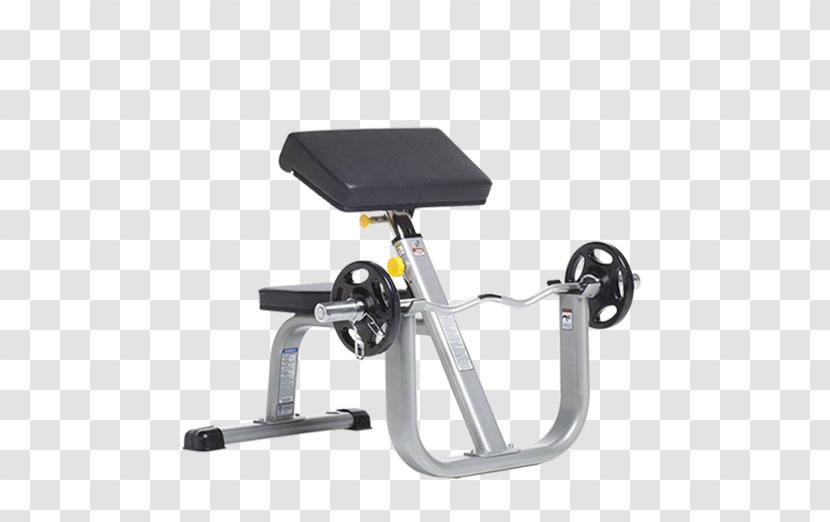Bench Biceps Curl Exercise Power Rack - Weight Machine Transparent PNG
