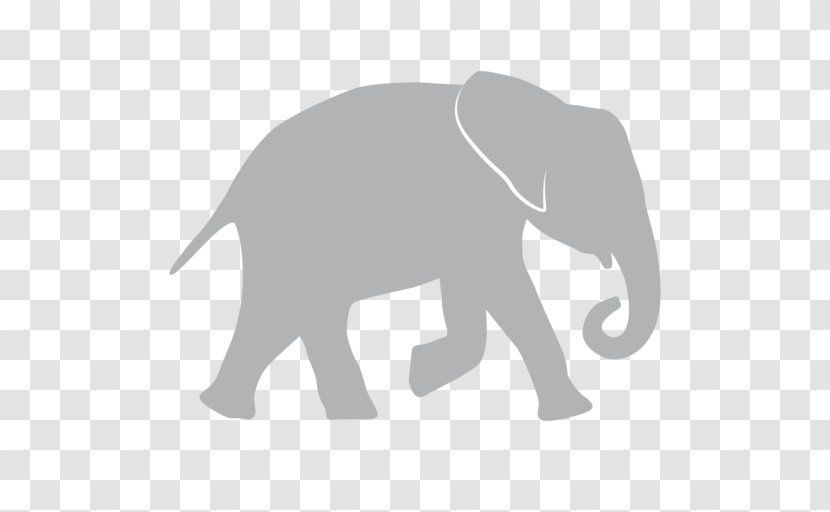 Indian Elephant African Wildlife - Snout Transparent PNG