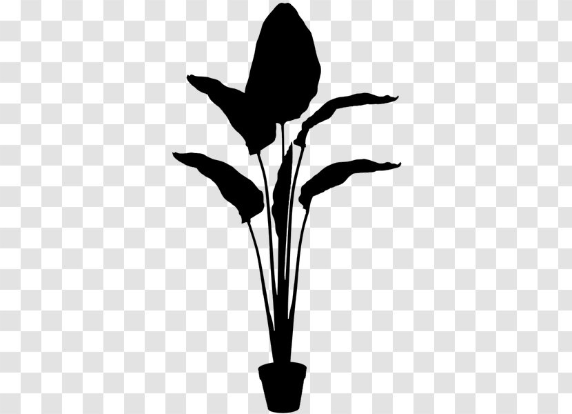 Black & White - Flowering Plant - M Flower Leaf Stem Font Transparent PNG