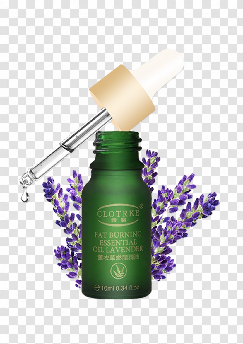 Cosmetics Essential Oil Lavender - Oils Transparent PNG