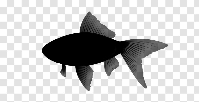 Fishing Image Animal Clownfish - Blackandwhite - Fish Transparent PNG