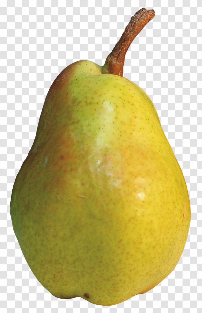 Pear Natural Foods Still Life Photography - European Transparent PNG