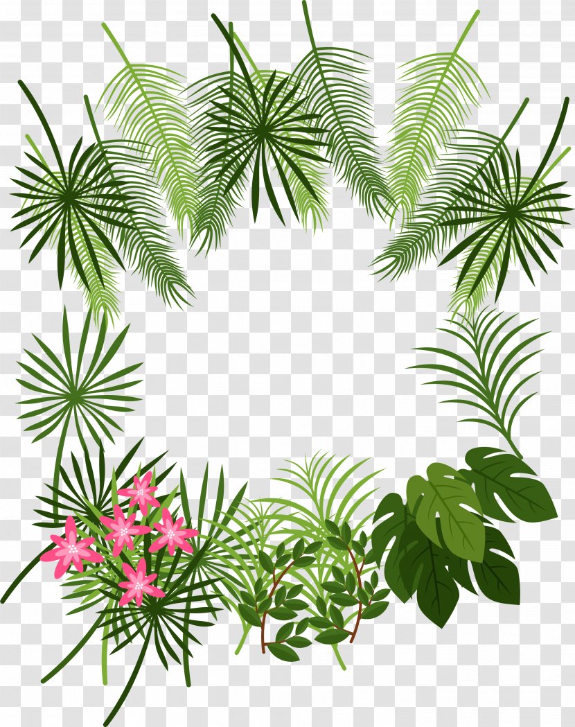 Arecaceae Leaf Tropics Plant - Palm Tree - Tropical Decoration Box Transparent PNG