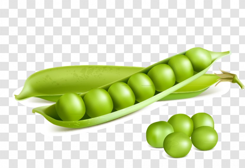 Pea Royalty-free Stock Illustration - Vegetarian Food - Vegetable Peas Transparent PNG