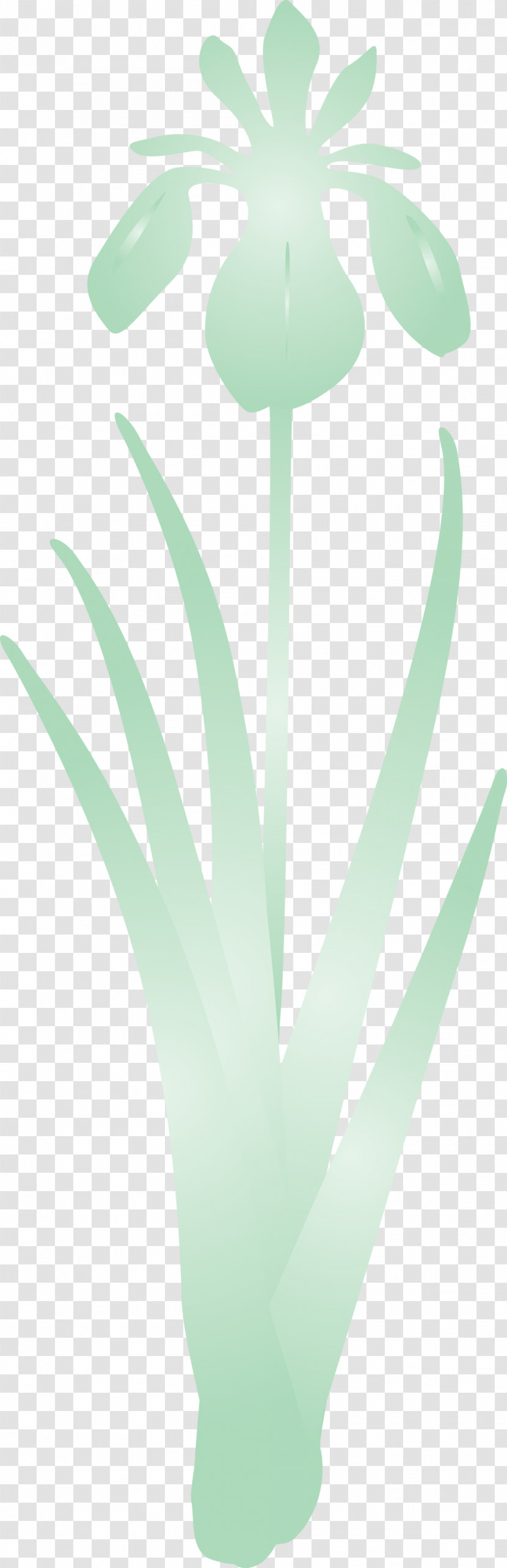 Iris Flower Spring Flower Transparent PNG