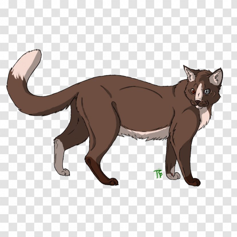 Whiskers Kitten Dog Canidae - Puma Transparent PNG