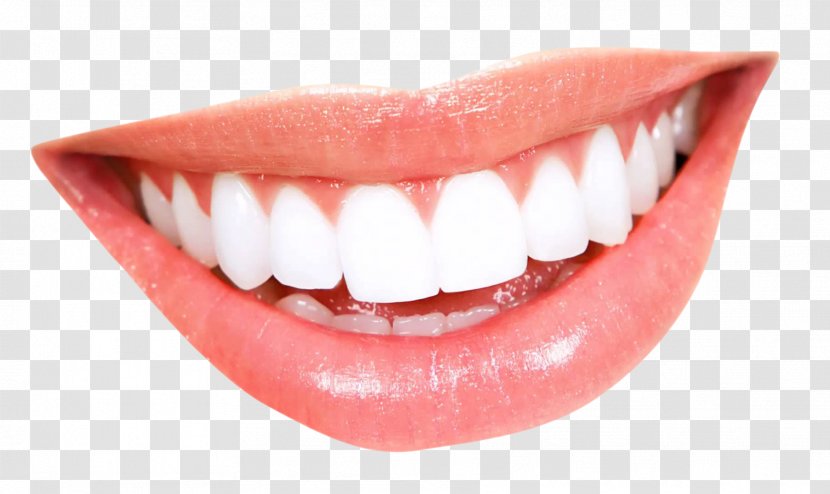 Smile Tooth Whitening Mouth - Lip - Teeth Transparent PNG