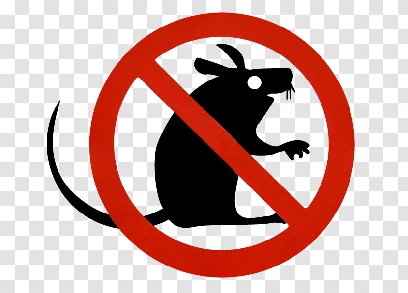 Mousetrap Rat Trap Rodent - Pest Control - Mouse Transparent PNG