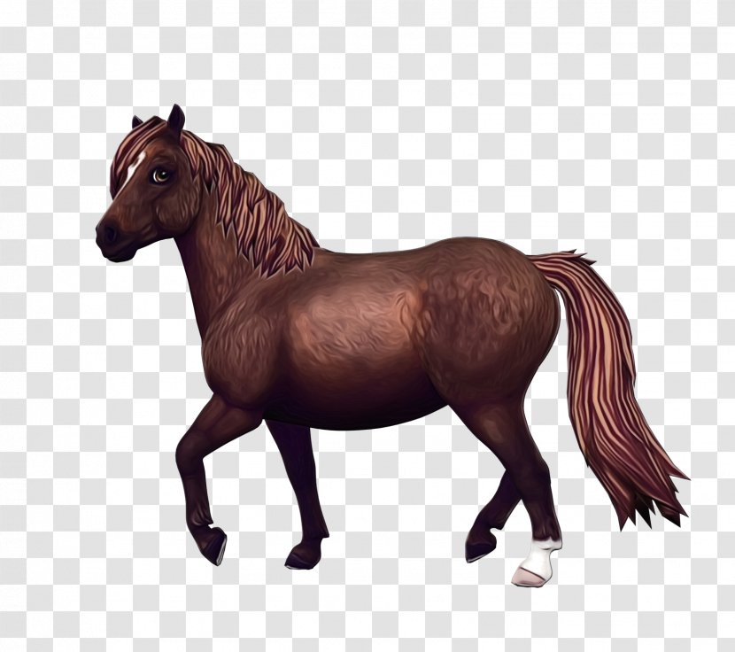 Cartoon Star - Sorrel - Figurine Colt Transparent PNG