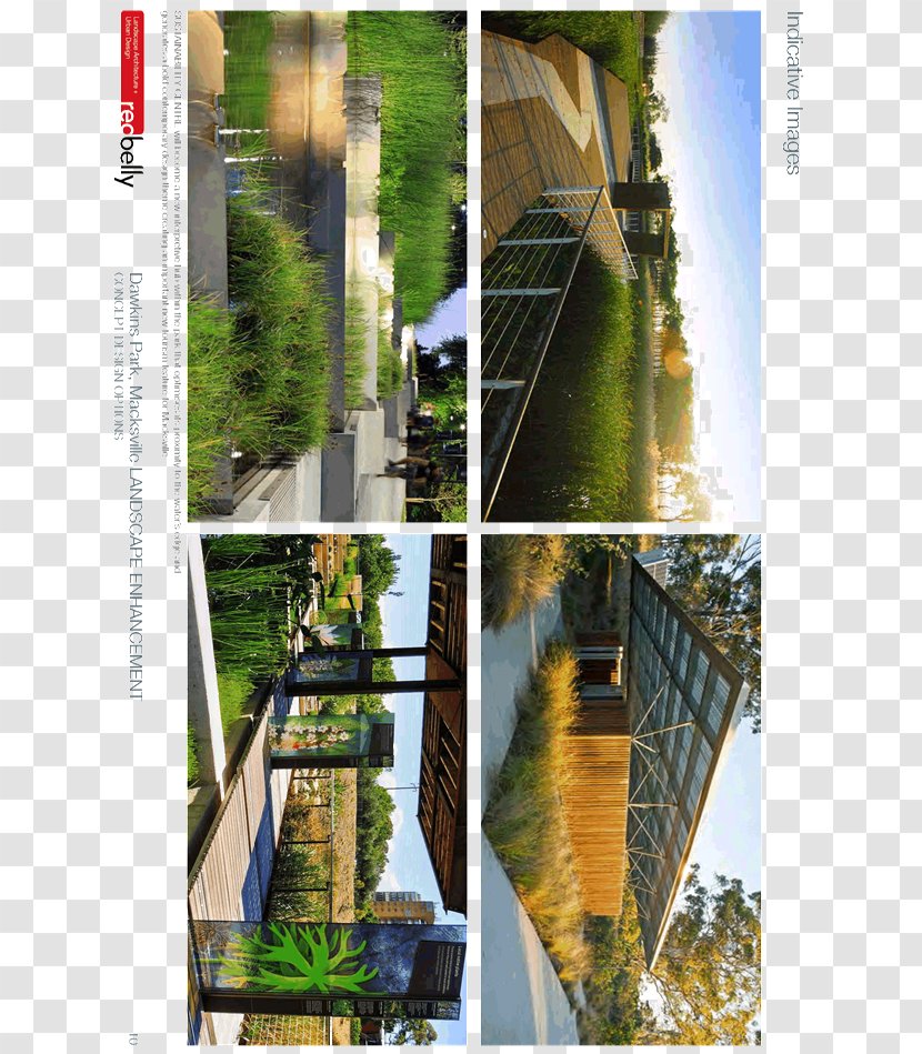 Tree Urban Design Collage Area - Grass Transparent PNG