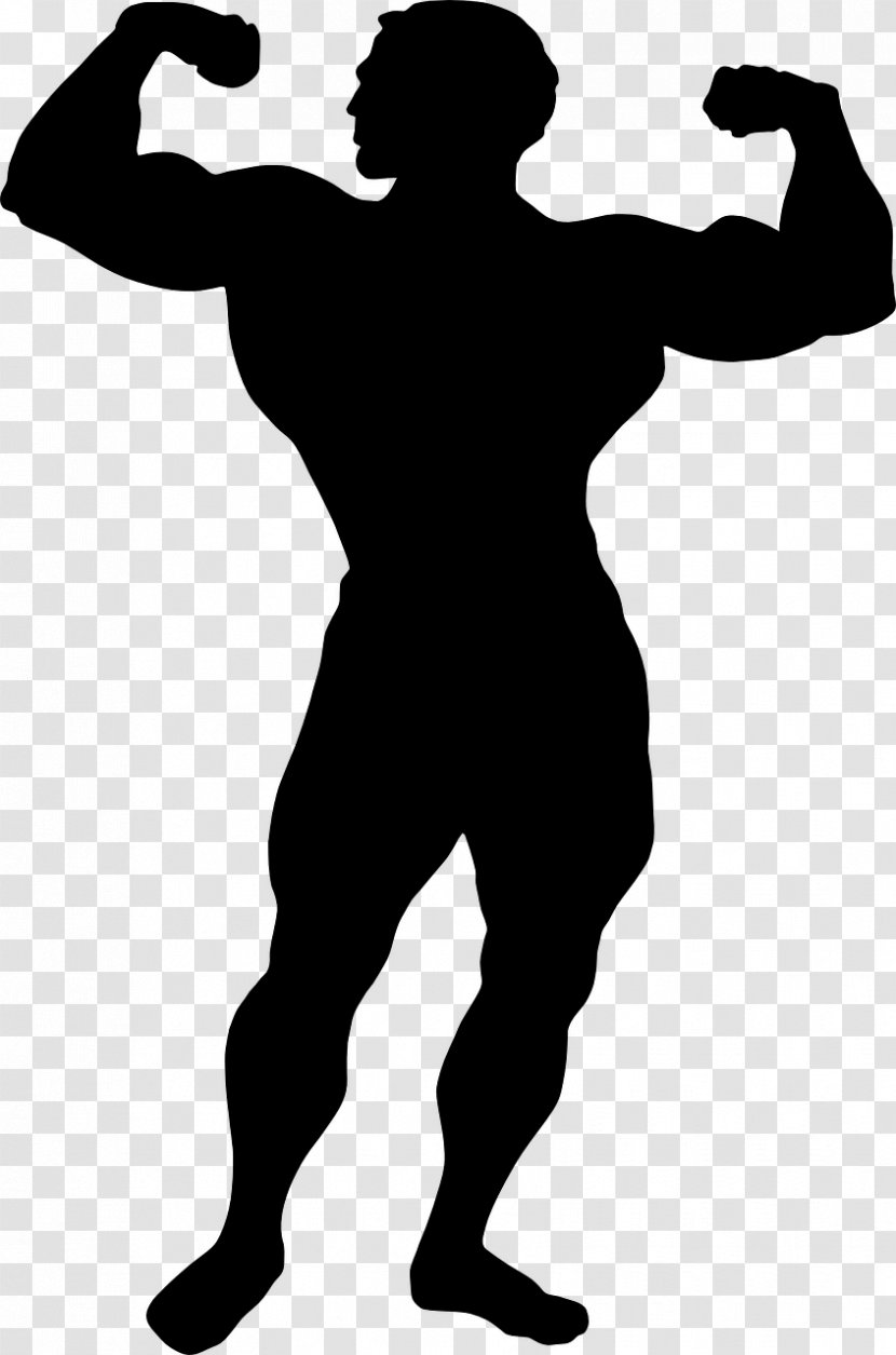Muscle Clip Art - Silhouette - Taobao Creative Transparent PNG