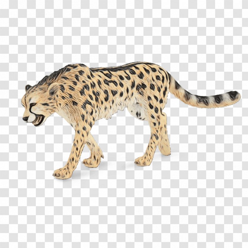 Cars Cartoon - African Leopard - Tail Wild Cat Transparent PNG