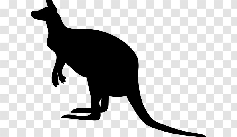 Kangaroo Cartoon - Silhouette - Whiskers Cat Transparent PNG