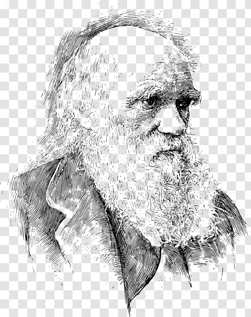 On The Origin Of Species Voyage Beagle Darwin Day Darwinism Evolution - Neck - Portrait Transparent PNG